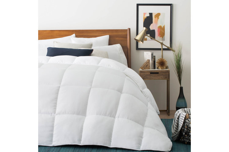 Goose Down vs. Duck Down Which Type of Bedding Is Best? Wayfair